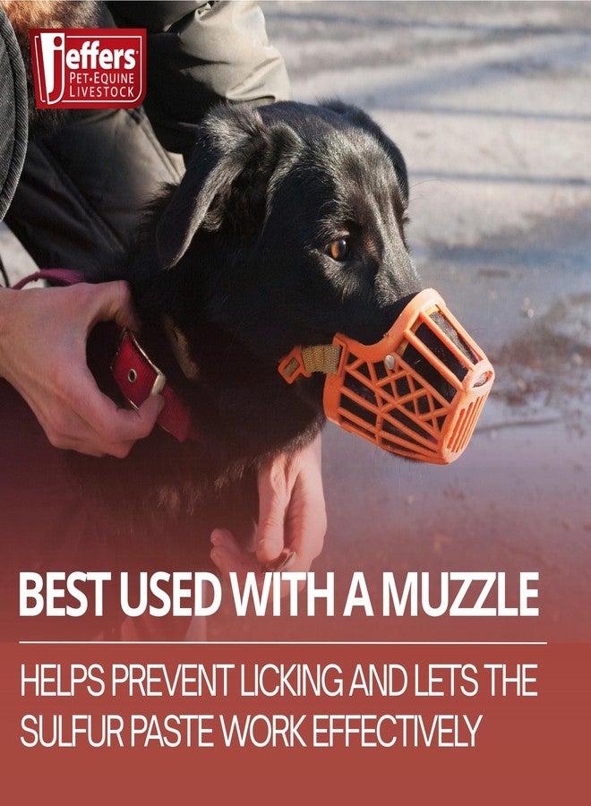 Jeffers Super Sulfur Healing Paste - Natural Skin & Wound Care for Horses, Dogs, Cats & Livestock - Soothing Sulfur Based Formula with Calendula, Bentonite Clay & Coconut Oil - 8 oz - Image 4